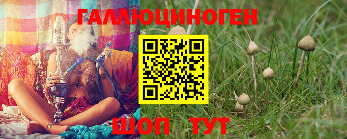 Партизанск  Псилоцибиновые грибы прущие грибы  Галлюциногенные грибы Magic Shrooms  Вход с VPN 