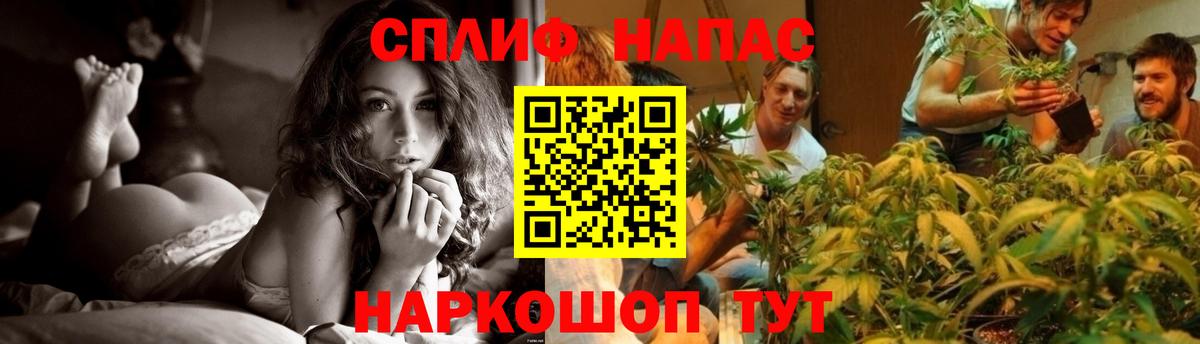 МАРИХУАНА Amnesia  Вход с VPN  Канабис OG Kush  Партизанск  Шишки марихуана планчик 